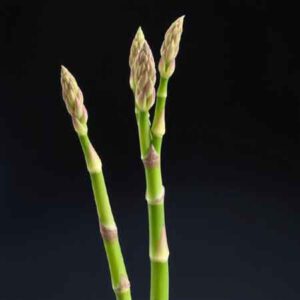 Asparagus asparagoides